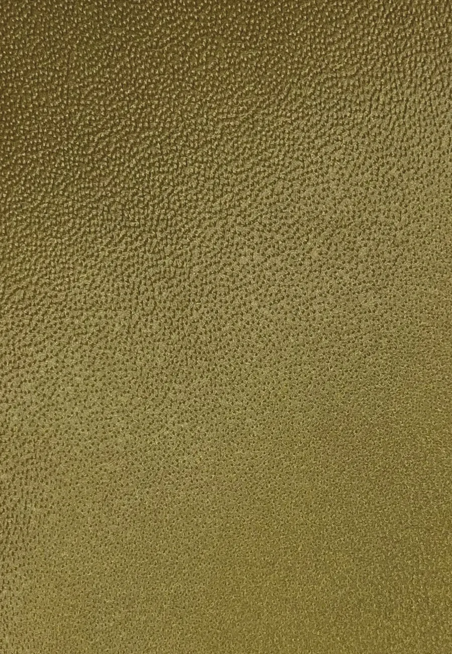 10380 N ORO ELIOS material