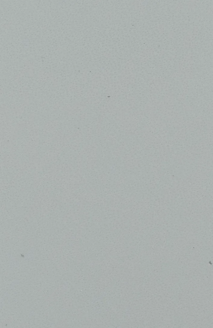 AD 3987 N MONDSILBER material