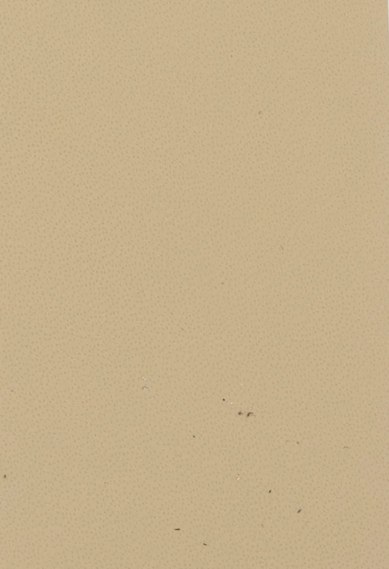 FE 2102 N SAND material