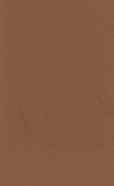 JLR 3560 N TAN material