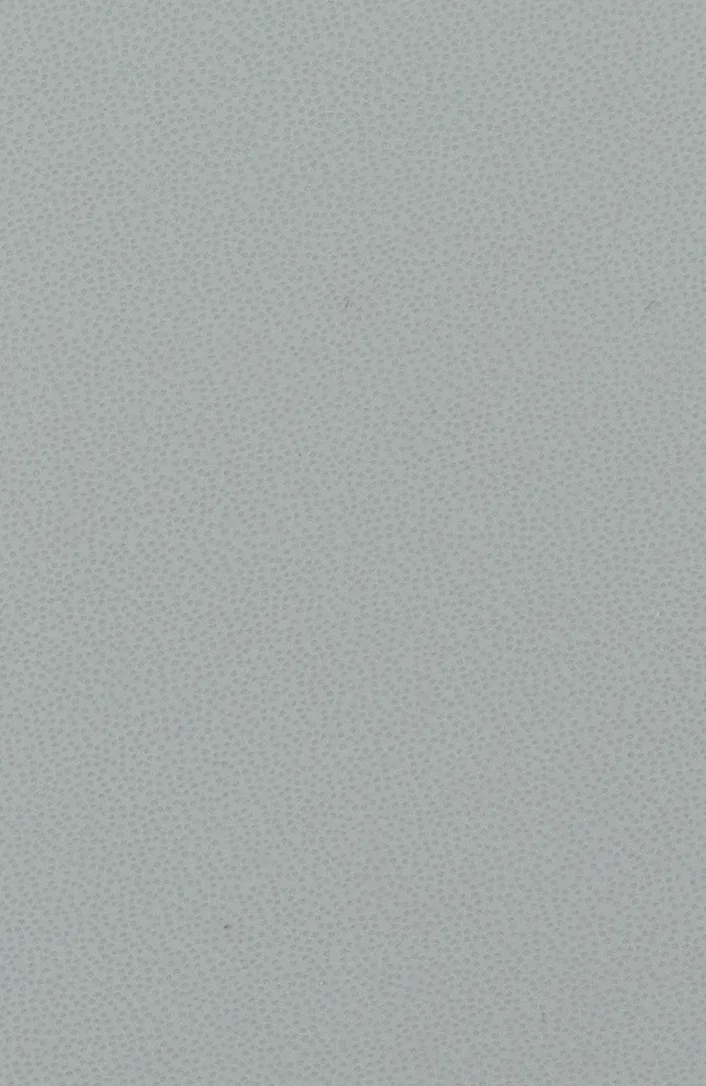 JLR 4138 N CIRRUS material
