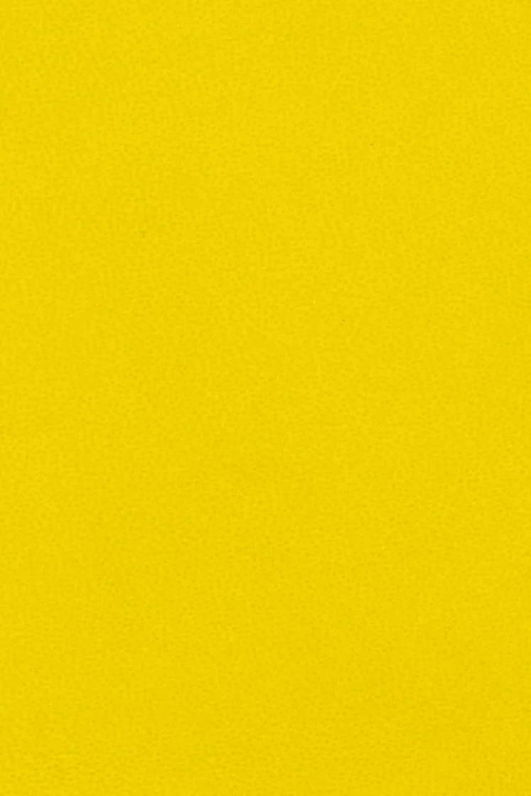 LM 1359 N GIALLO BELENUS (2 tone) material