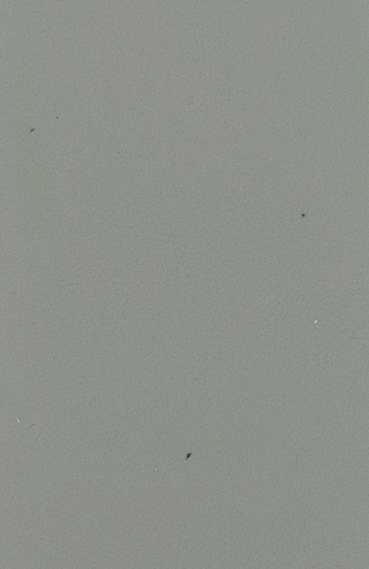 VW 3113 N MOON ROCK material