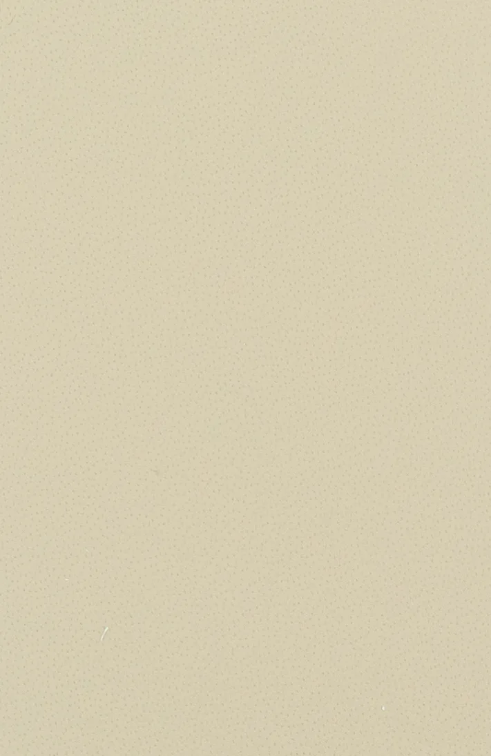 VW 3994 N SONNEN BEIGE material