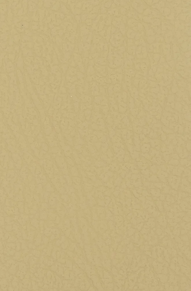 6010 P CREME material