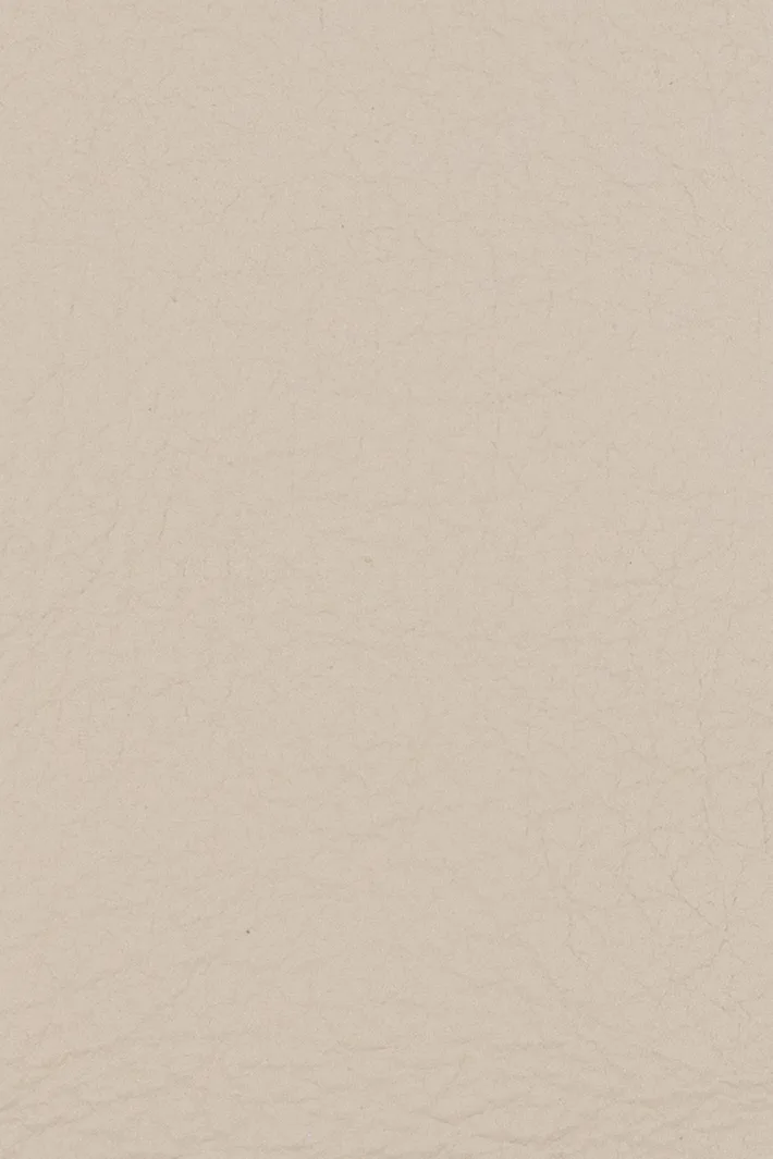 LUGANO 4691 L SILK BEIGE material