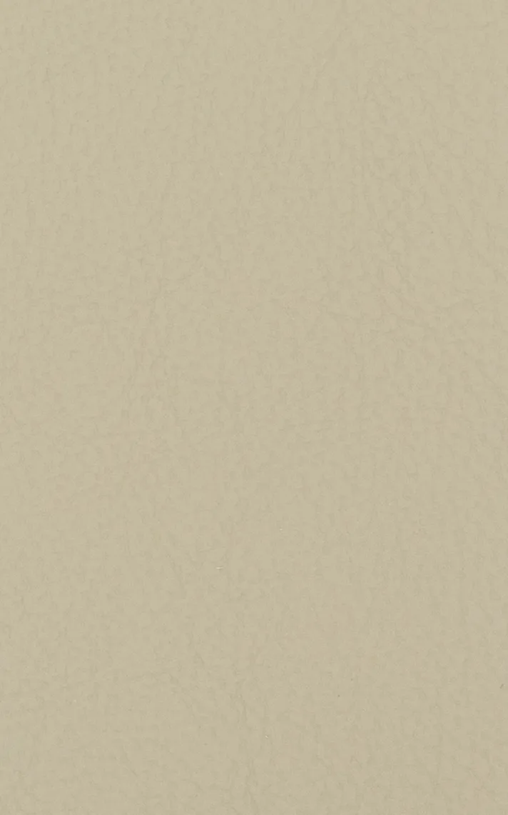VIENNA 3997 V ATLAS BEIGE material