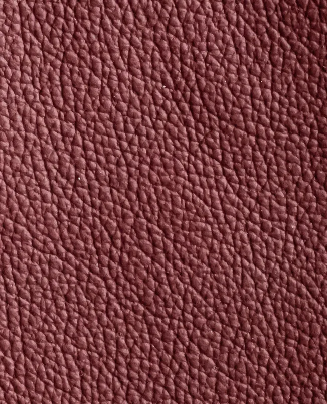 TANGO RASPBERRY material