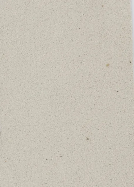 DINAMICA 0220 PORCELAIN material