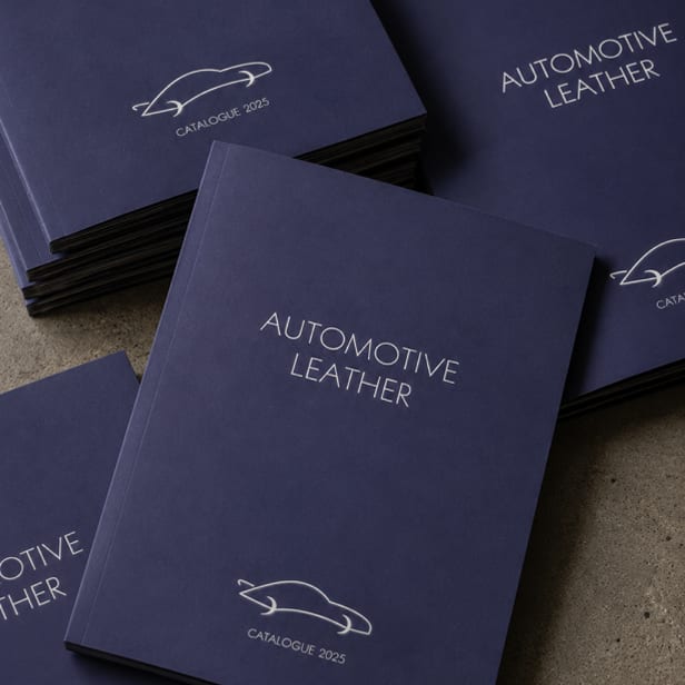 Niebiesko-fioletowy katalog Automotive (240 kolorów)
